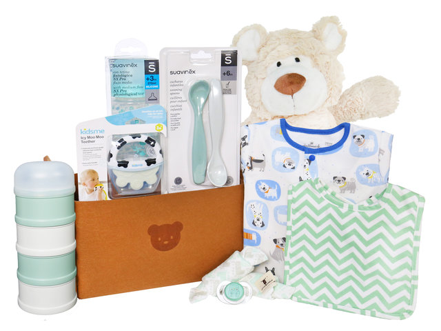 New Born Baby Gift - New Born Baby 100 Days Gift Basket BHD01 - B30326A1 Photo