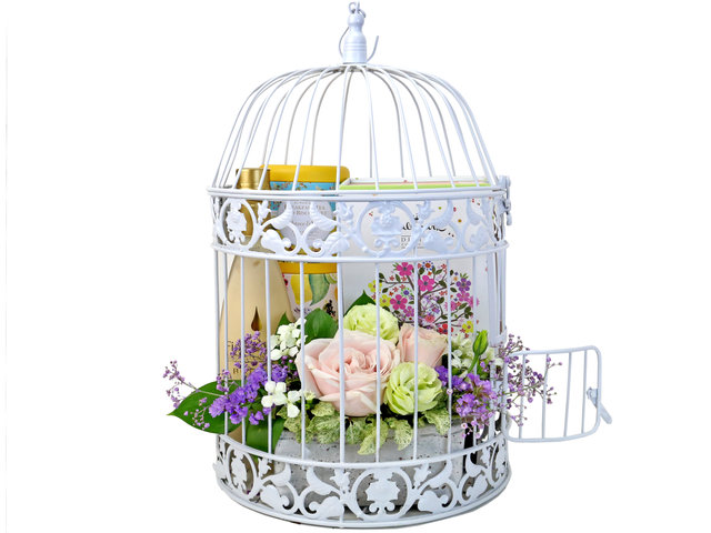 Wine n Food Hamper - Birdcage design gift hamper B1 - TNP0410A6 Photo